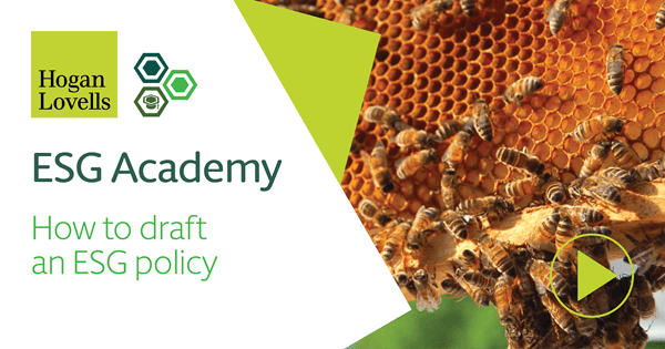Clickable video player image showing bees and text: How to draft an ESG policy