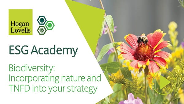 ESG Academy video thumbnail - Biodiversity: Incorporating nature and TNFD into your strategy - Bee sitting on flower