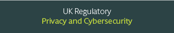 Privacy and Cybersecurity