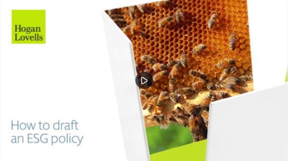 "How to draft an ESG policy" with video "play" button and honeycomb in background