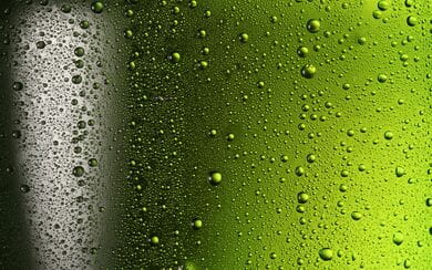 A close-up of condensation on a green soda bottle