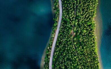 Aerial view of a roadway through a wooded peninsula