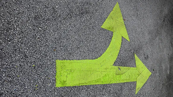 Green directional arrows on a street pointing in different directions
