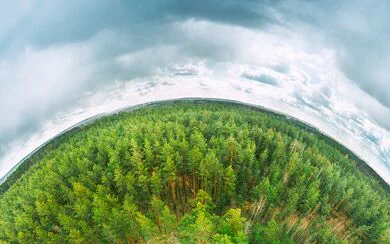 Aerial view of vibrant forest from high above, resembling a bird's eye perspective