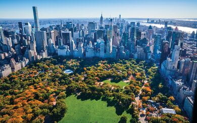 Aerial view of New York City, Central Park, with autumn foliage