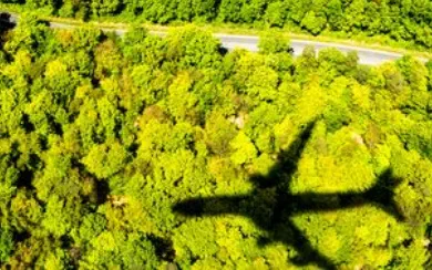 A plane casts a shadow against the bright green forest treetops and curved road below