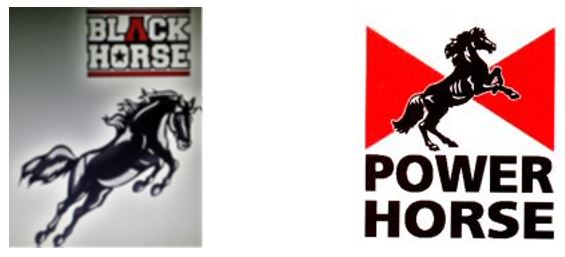 BlackHorse