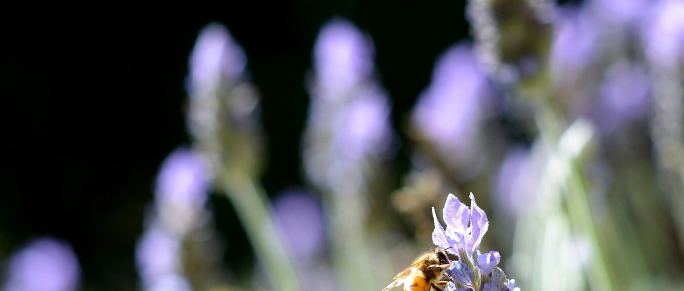 Danish regulator says “Managers need to be better at ensuring that their investments are truly sustainable”