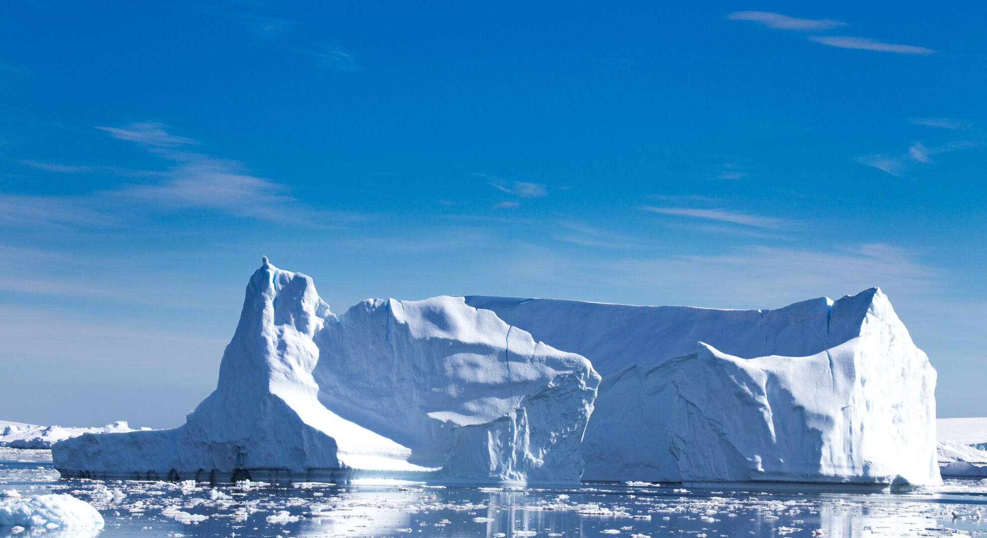 image_1